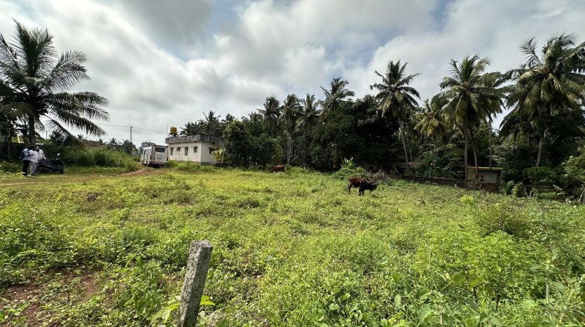 land for sale in udupi