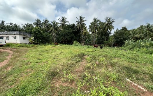 land for sale in Udupi