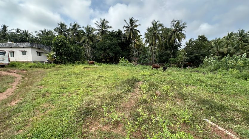 land for sale in Udupi