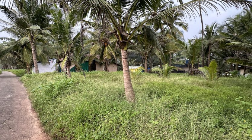 beach side land / property for sale